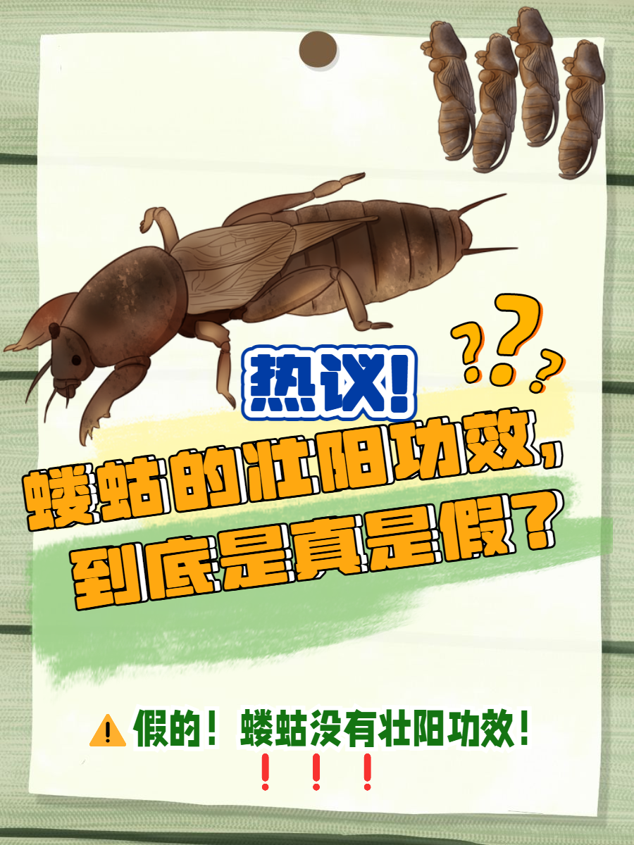 崬?2顓?勨??嚛谏S??W捥惽?t5\?蛄?[9硑詻i魸晀?牀6(鈥滄柊涓紡鈥濇湇瑁呬负鍟彈杩芥崸)-爱游戏体育官网